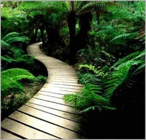 path to recovery Recovery path